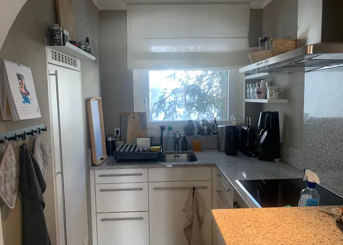 Fantastic Panorama Flat In São Moritz